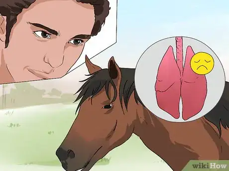 Image titled Diagnose Heaves in Horses Step 6