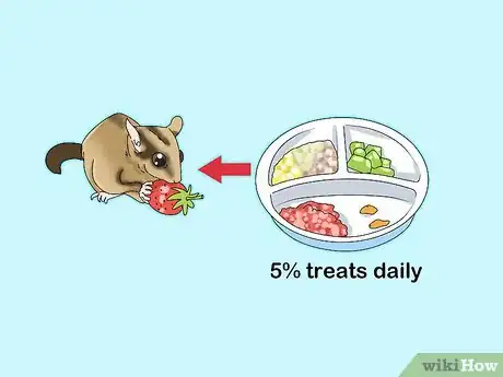 Image titled Feed a Sugar Glider Step 15