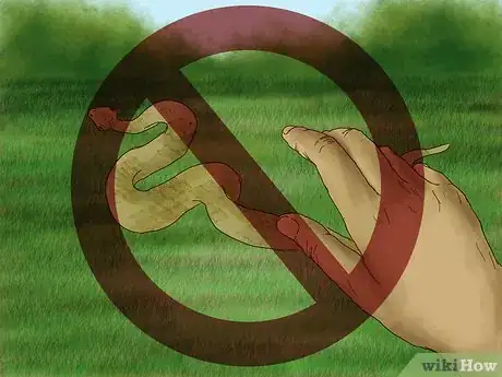 Image titled Treat Snake Bites in the Wilderness Step 22