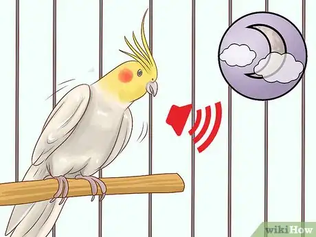 Image titled Know if a Cockatiel Is Right for You Step 7