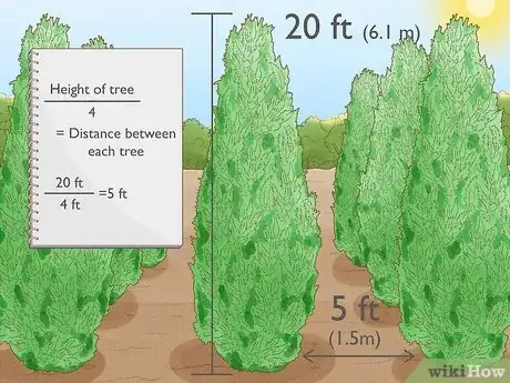 Image titled Plant Leyland Cypress Step 6