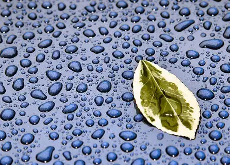 Image titled Leaf on my car 770