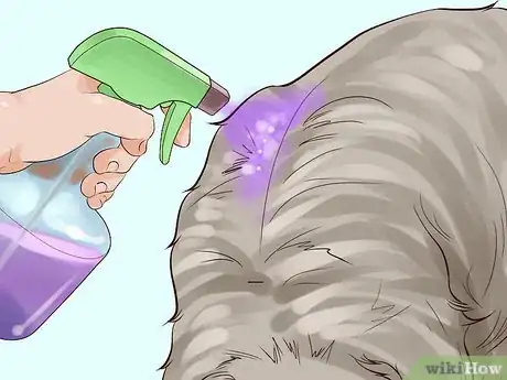 Image titled Dye a Dog's Fur Step 12