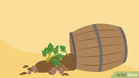 Image titled Grow Potatoes in Barrels Step 19