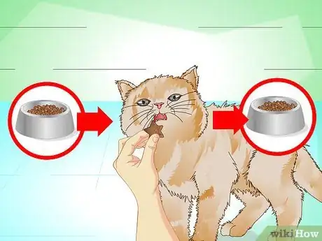 Image titled Put Weight on a Cat Step 10