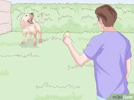 Image titled Get a Urine Sample from a Female Dog Step 10