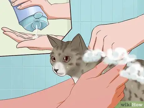 Image titled Clean Your Cat When He Can't Do It Himself Step 31