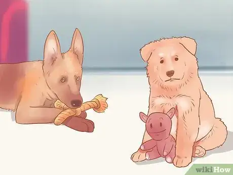 Image titled Choose a German Shepherd Puppy Step 26