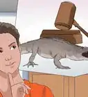 Tell a Freshwater Crocodile from a Saltwater Crocodile