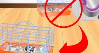 Clean a Guinea Pig Cage