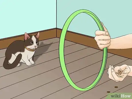 Image titled Train a Cat to Jump Through a Hoop Step 4