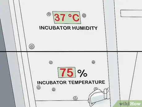 Image titled Hatch Turkey Eggs in an Incubator Step 10