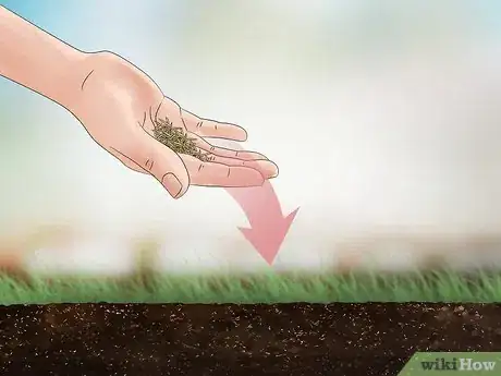 Image titled Get Rid of Quack Grass Step 11