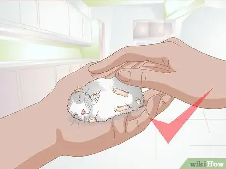 Image titled Get a Hamster to Sleep Step 13