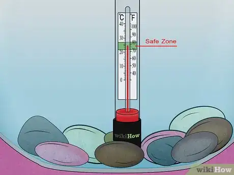 Image titled Fix Swim Bladder Disease in Goldfish Step 5