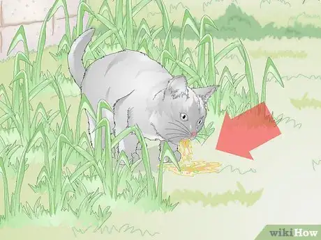 Image titled Stop Your Cat from Eating Grass Step 9