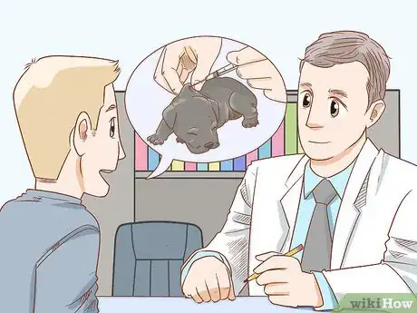 Image titled Care for a Dog Before, During, and After Pregnancy Step 17