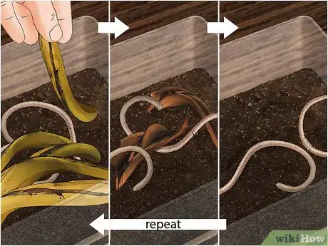 Image titled Make a Worm Habitat Step 8