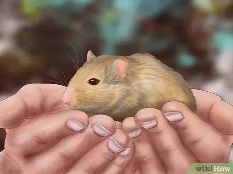 Image titled Make Your Gerbil Happy Step 10