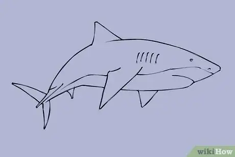 Image titled Draw a Shark Step 19