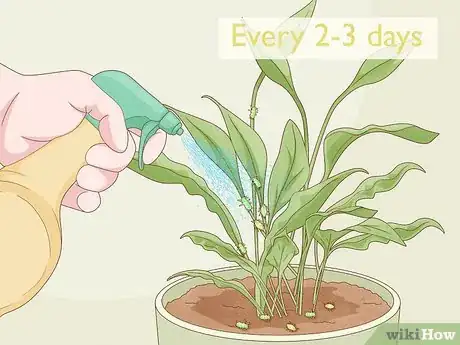 Image titled Keep Aphids Away Using Eco Friendly Methods Step 9