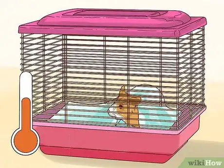 Image titled Treat Diarrhea in Hamsters Step 6