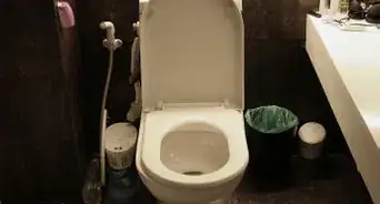 Convert Any Toilet to a Low Flush Toilet