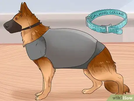 Image titled Groom a Dog That Bites Step 12