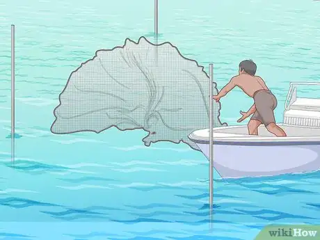 Image titled Catch Shrimp Step 11