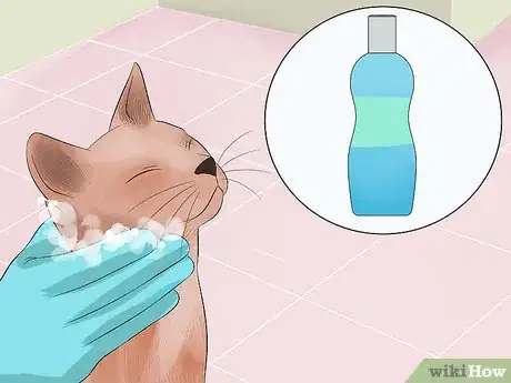 Image titled Make Your Cat's Fur Soft and Shiny Step 10