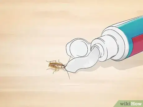 Image titled Identify a Cockroach Step 14