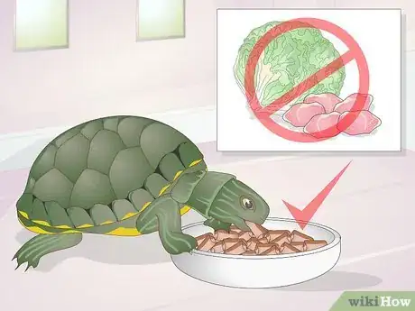 Image titled Apply Medication to a Turtle's Eyes Step 10