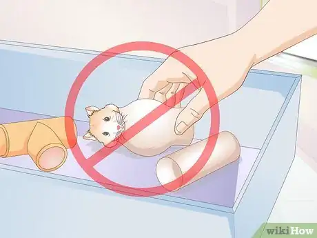 Image titled Make a Hamster Playpen Step 14