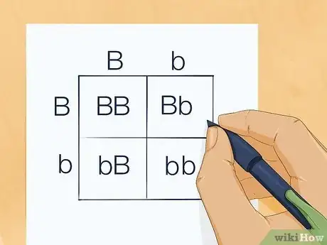 Image titled Determine Genotype Step 4