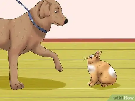 Image titled Introduce a Dog and a Rabbit Step 10