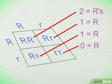 Image titled Work With Punnett Squares Step 9