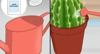 Water a Cactus