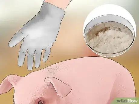 Image titled Prevent Lice and Mites Infesting Your Pigs Step 10