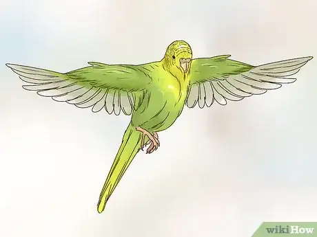 Image titled Take Care of a Budgie Step 16