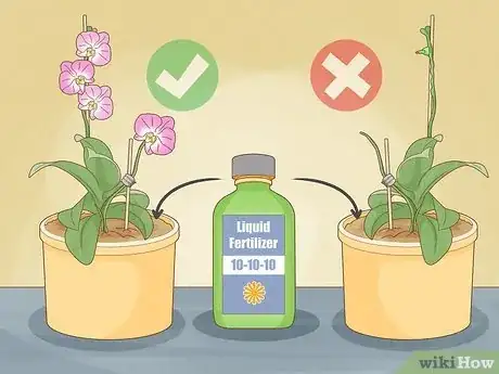 Image titled Care for Orchids Step 3