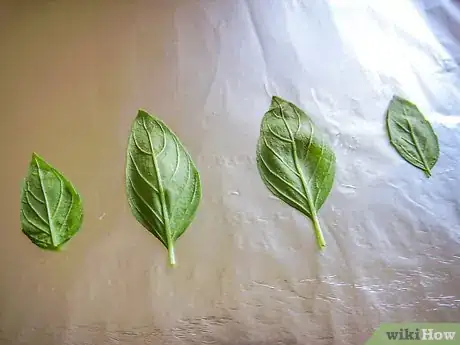 Image titled Make Chocolate Leaves Step 7