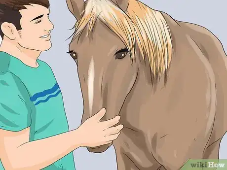 Image titled Approach Your Horse Step 9