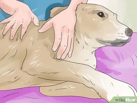 Image titled Make Your Dog Relax Completely Step 10