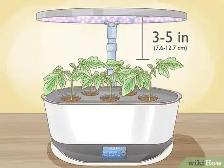 Image titled Aerogarden Tomatoes Step 6