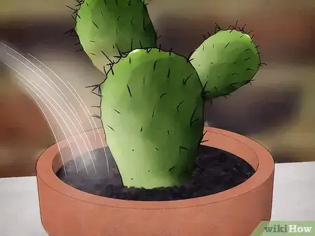 Image titled Save a Dying Cactus Step 1