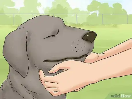 Image titled Befriend Dogs Step 4