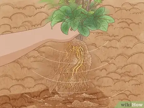 Image titled Propagate Your Plants Step 2