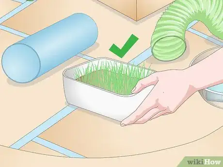 Image titled Build a Safe Playground for Your Pet Rats Step 10