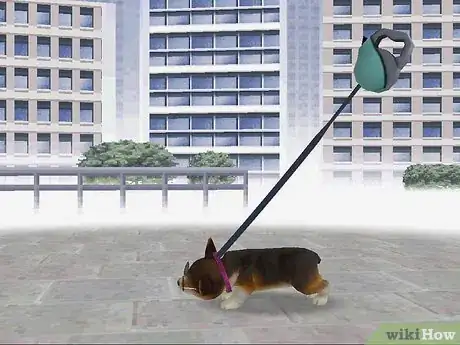 Image titled Earn Money and Trainer Points in Nintendogs Step 8