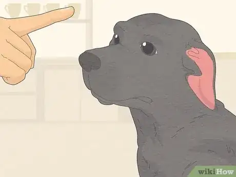 Image titled Train a Dog to Not Be Clingy Step 14